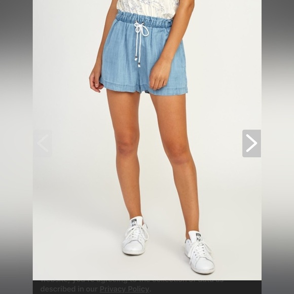 RVCA Pants - RVCA | Im Listening Shorts Womens Chambray Sz Small Blue